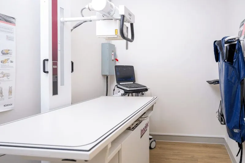 Veterinary X-ray room