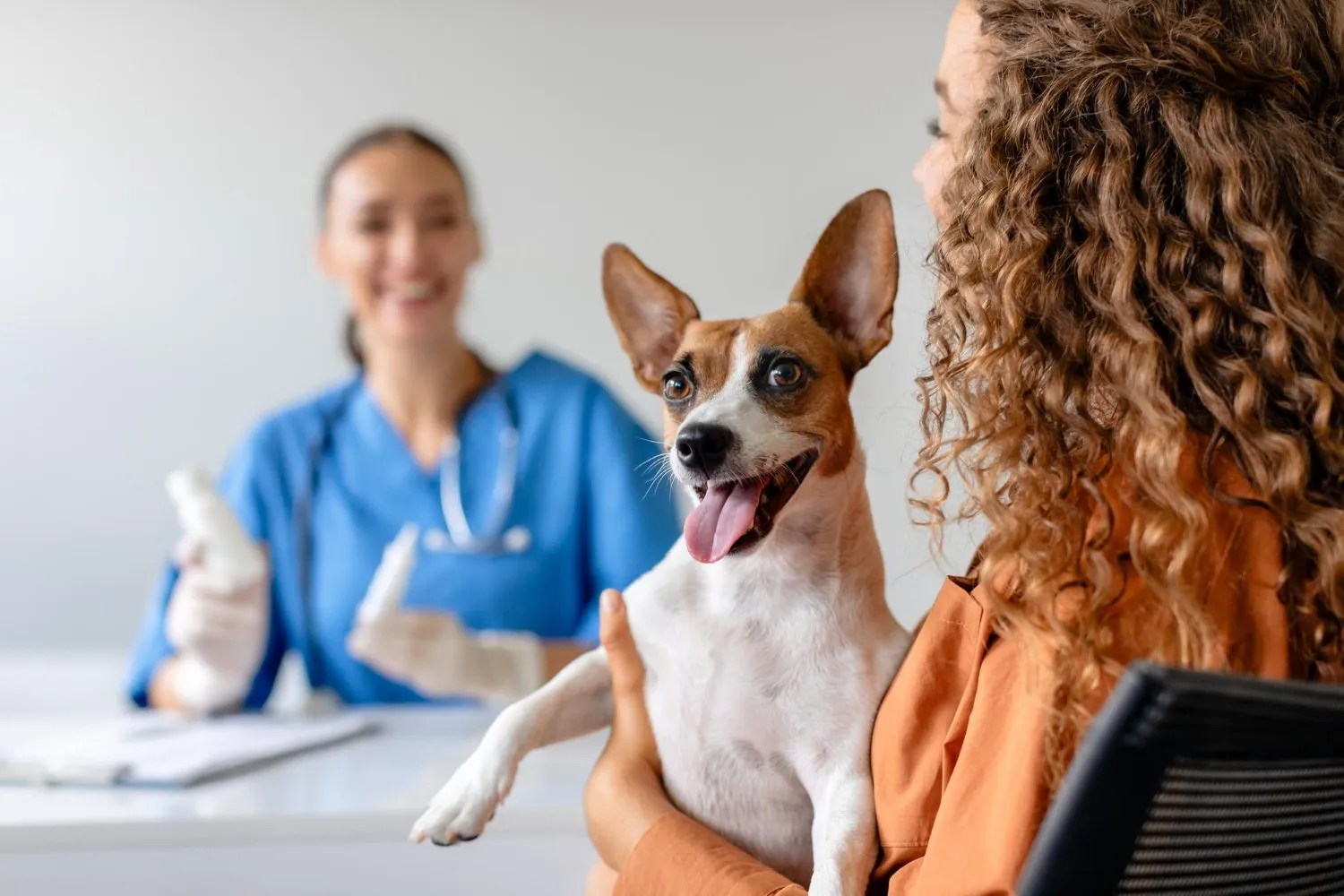Smiling veterinarian with a dog and its owner
