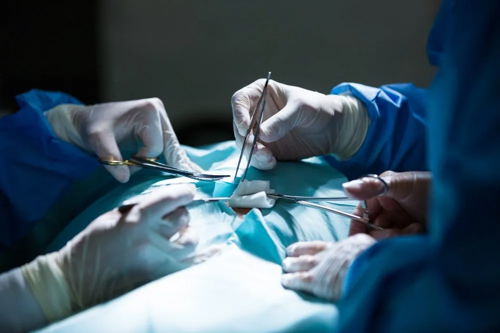Surgical team operating in a veterinary operating room