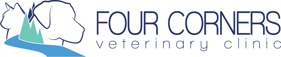 Four Corners Veterinary Clinic