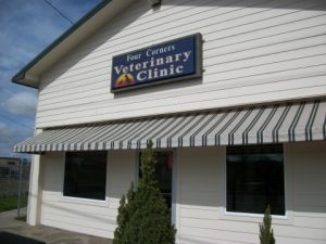 download veterinary clinic near me