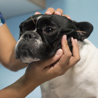 Acupuncture